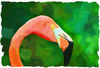 flamingoart.jpg
